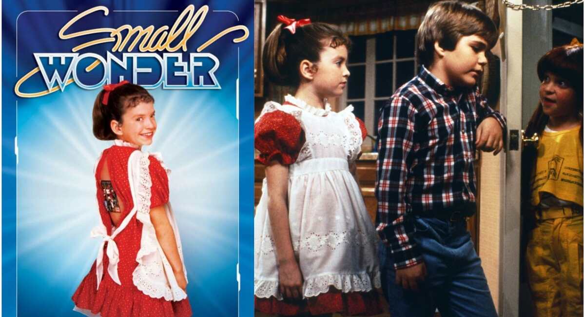 Small Wonder Television Show