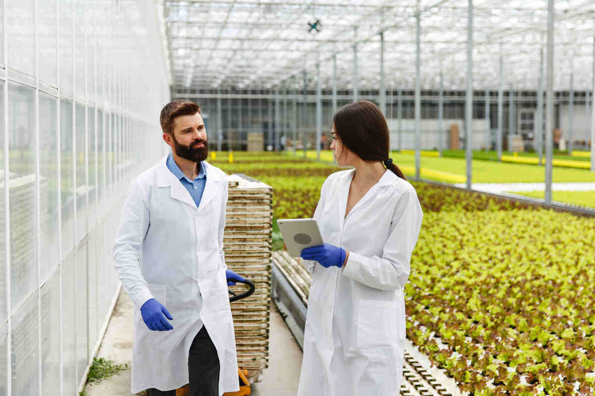 Why is Tissue Culture Important in Agriculture