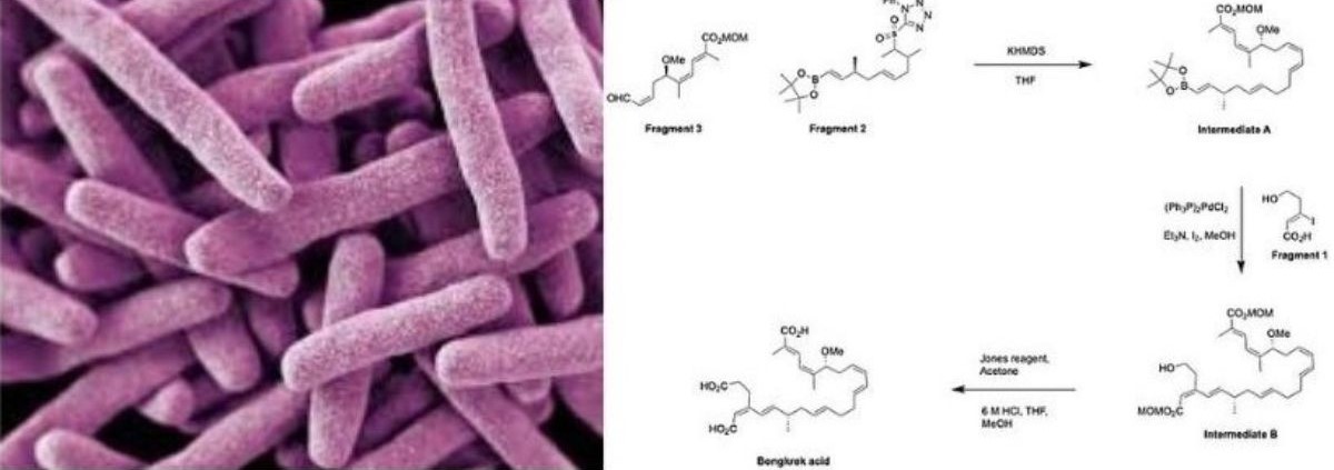 Bongkrekic acid food poisoning