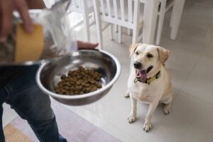 Kindfull Dog Food Reviews